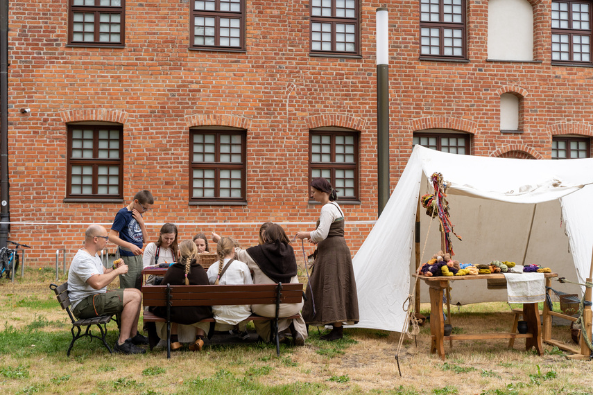 Wikingowie pod muzeum zdjęcie nr 287505