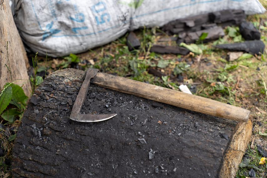 Wikingowie pod muzeum zdjęcie nr 287484