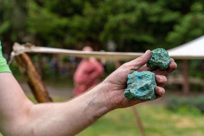 Wikingowie pod muzeum zdjęcie nr 287496