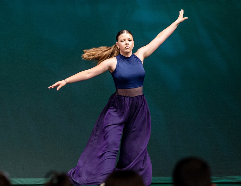 Pokazali w tańcu, co potrafią zdjęcie nr 287867