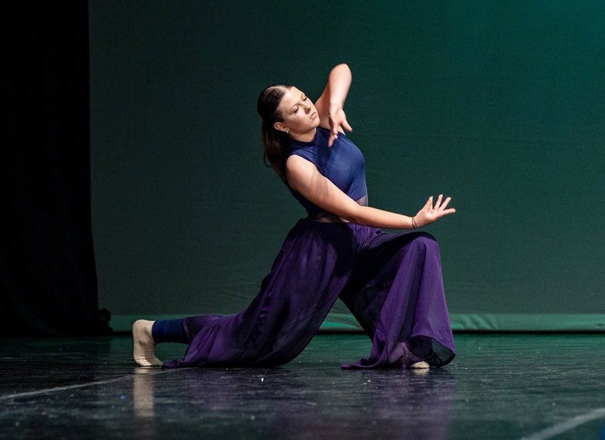 Pokazali w tańcu, co potrafią zdjęcie nr 287868