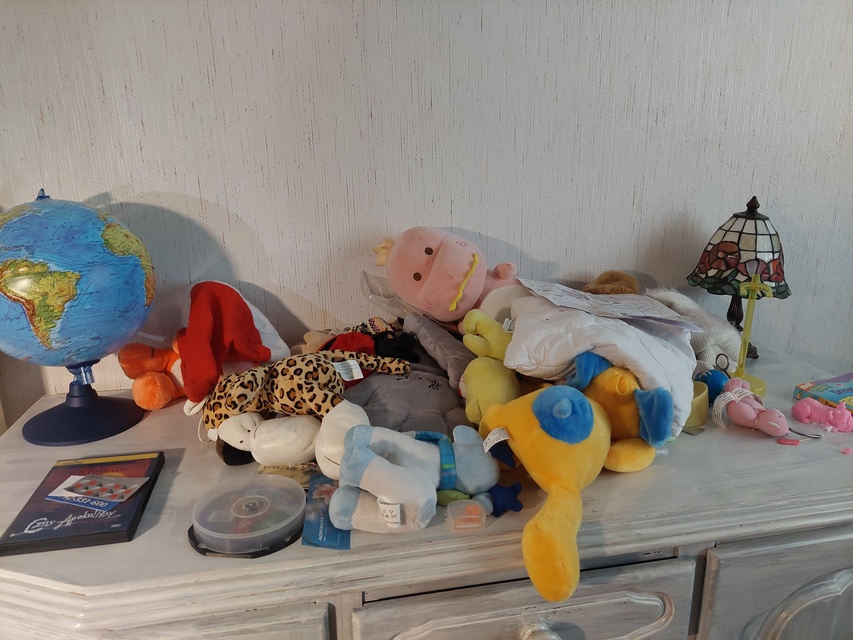 Kontrola w Fundacji Dumni z Elbląga. Prezes pokazuje posiadłość, ale dokumentów nie zdjęcie nr 287964