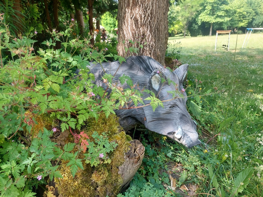 Kontrola w Fundacji Dumni z Elbląga. Prezes pokazuje posiadłość, ale dokumentów nie zdjęcie nr 287979