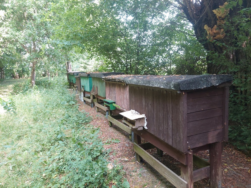 Kontrola w Fundacji Dumni z Elbląga. Prezes pokazuje posiadłość, ale dokumentów nie zdjęcie nr 287982