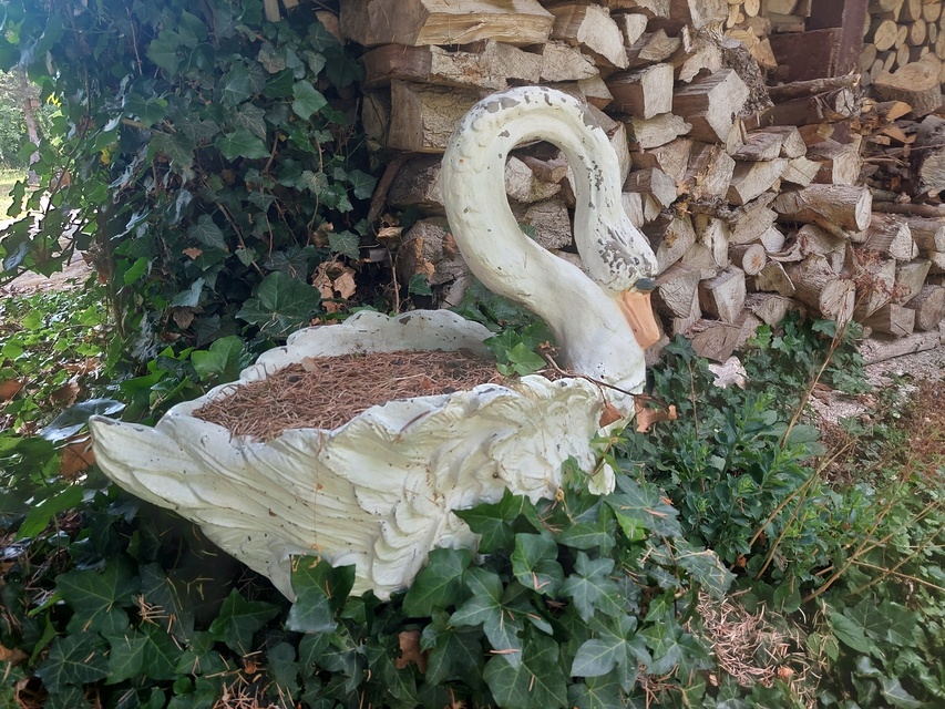 Kontrola w Fundacji Dumni z Elbląga. Prezes pokazuje posiadłość, ale dokumentów nie zdjęcie nr 287978