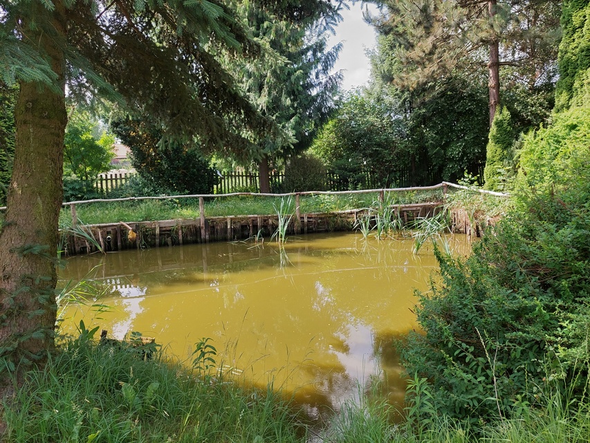 Kontrola w Fundacji Dumni z Elbląga. Prezes pokazuje posiadłość, ale dokumentów nie zdjęcie nr 287948