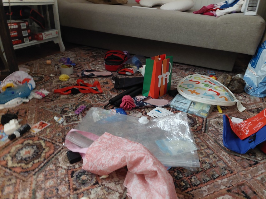 Kontrola w Fundacji Dumni z Elbląga. Prezes pokazuje posiadłość, ale dokumentów nie zdjęcie nr 287962