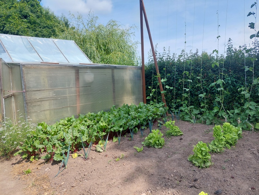 Kontrola w Fundacji Dumni z Elbląga. Prezes pokazuje posiadłość, ale dokumentów nie zdjęcie nr 287980