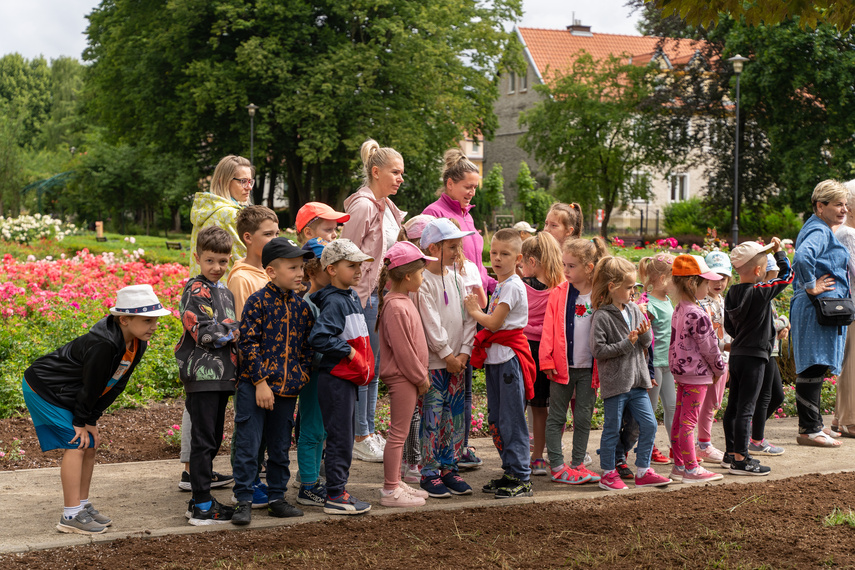 Gdzie są Aniołki? zdjęcie nr 288515