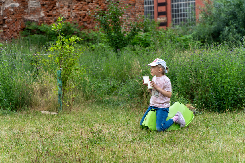 Obiad i kolacja na trawie w obiektywie zdjęcie nr 288691