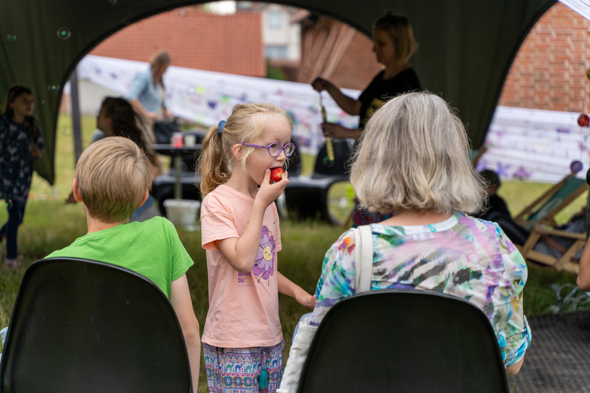 Obiad i kolacja na trawie w obiektywie zdjęcie nr 288676