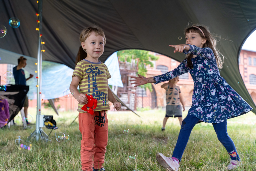 Obiad i kolacja na trawie w obiektywie zdjęcie nr 288681