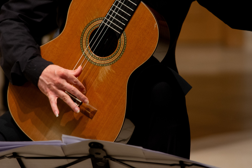 Mistrzowsko, muzycznie, w Elblągu zdjęcie nr 288808