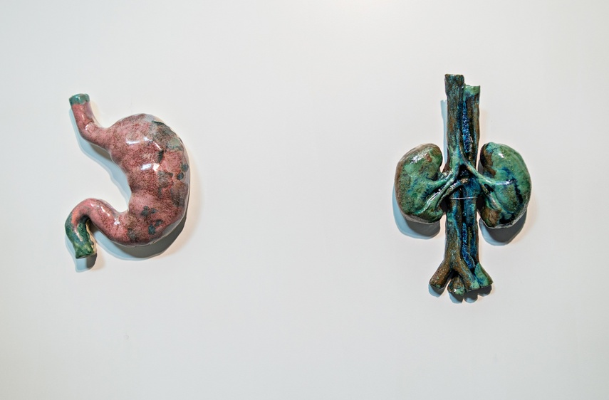 Elblążanie na Salonie zdjęcie nr 288940