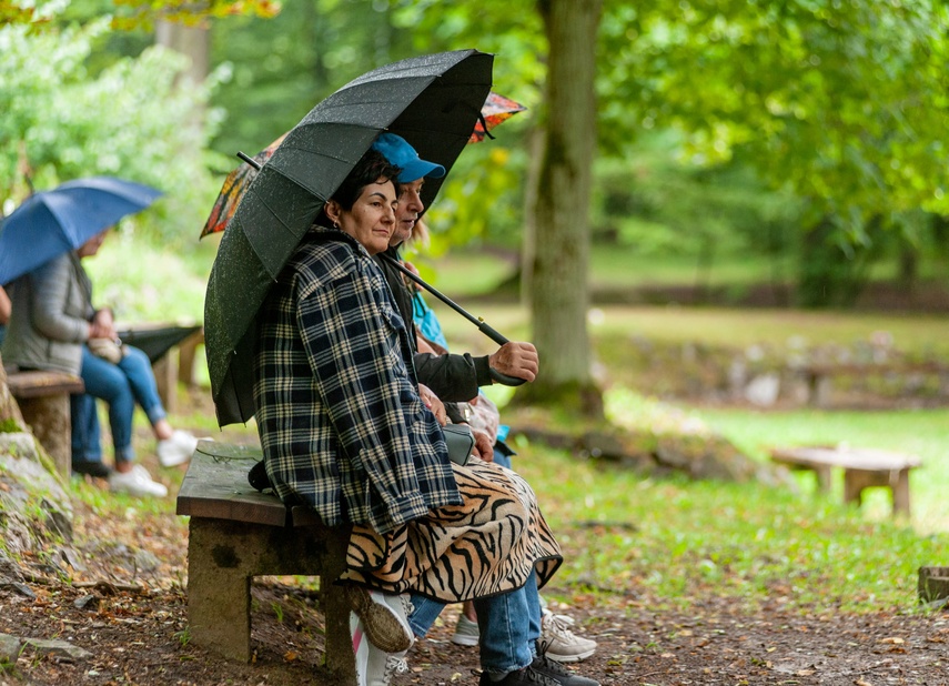 Deszczowy  Magik w Bażantarni zdjęcie nr 289949