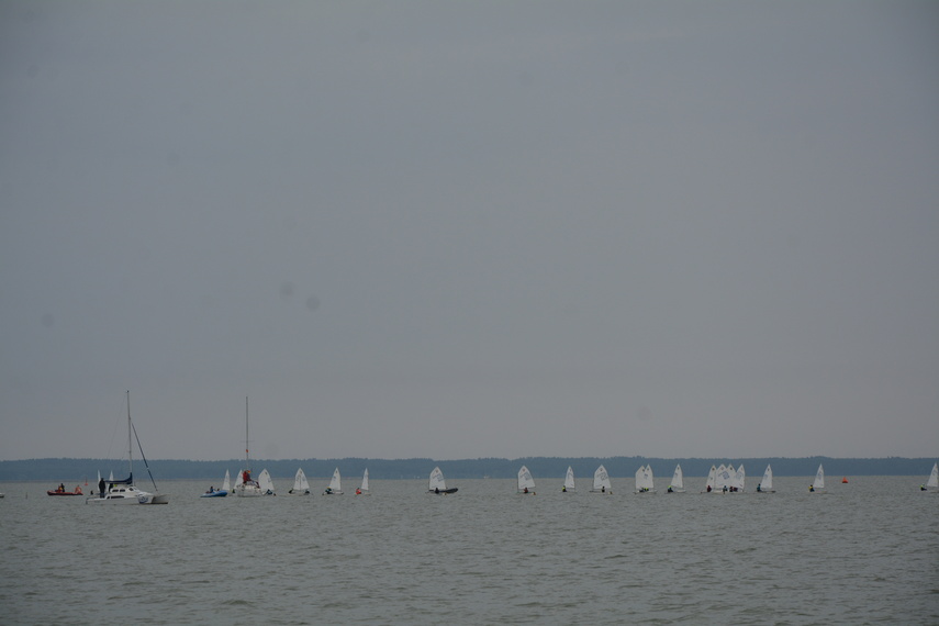 Regaty o Puchar Mariny Elbląg zdjęcie nr 290030