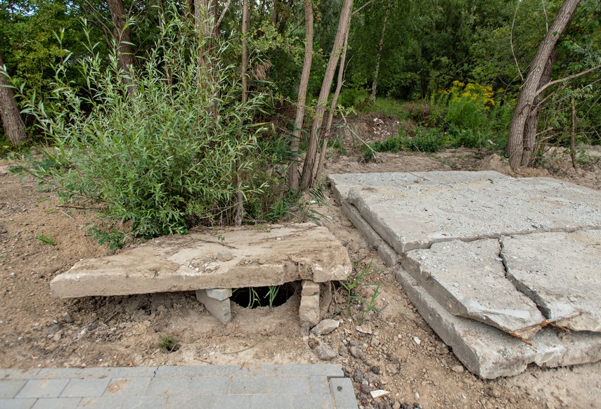 Interwencja Łęczycka zdjęcie nr 291168