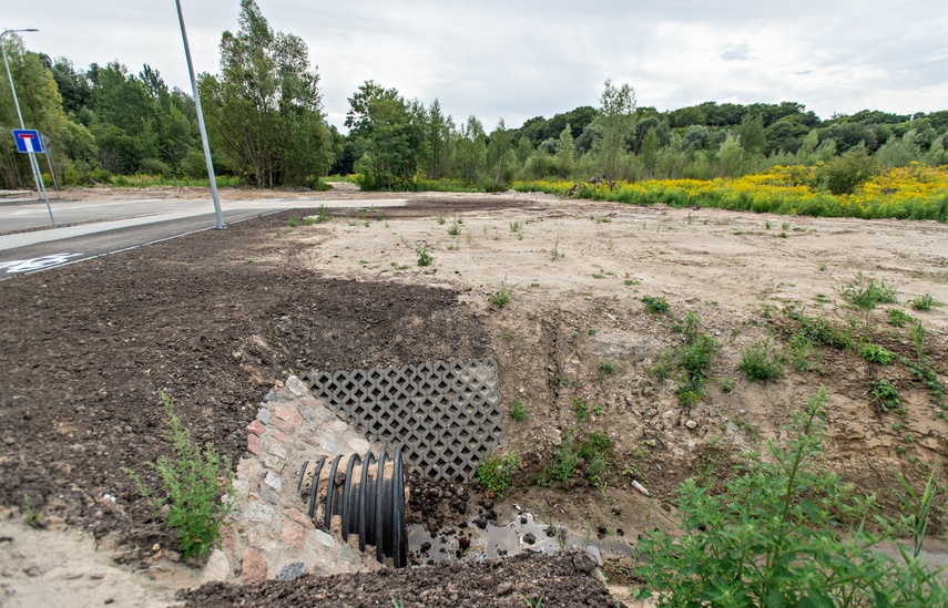 Interwencja Łęczycka zdjęcie nr 291170