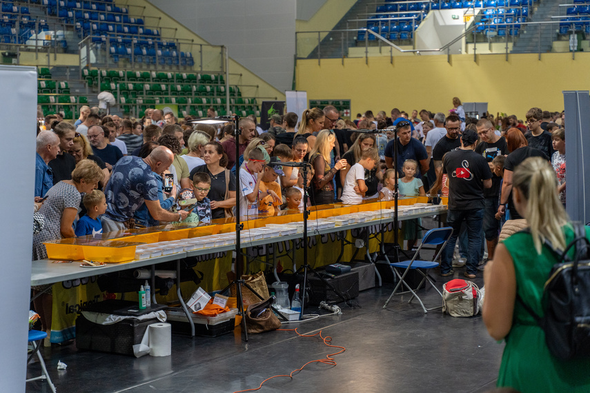 Odrobina egzotyki zdjęcie nr 292019