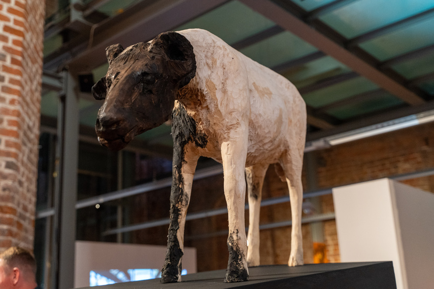 Międzynarodowo w galerii zdjęcie nr 292342