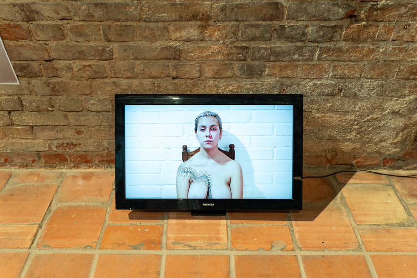 Międzynarodowo w galerii zdjęcie nr 292316