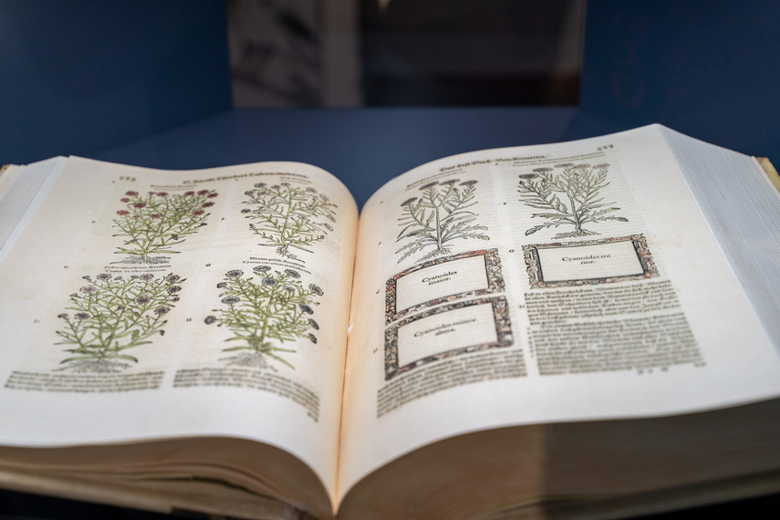 Elkamera przybliża historię Elbląga i miejskiego księgozbioru zdjęcie nr 292579