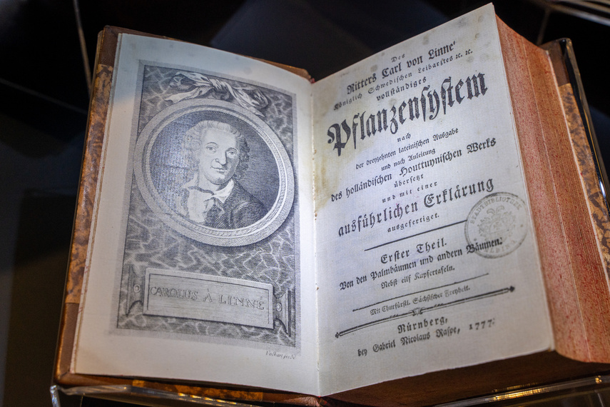 Elkamera przybliża historię Elbląga i miejskiego księgozbioru zdjęcie nr 292582