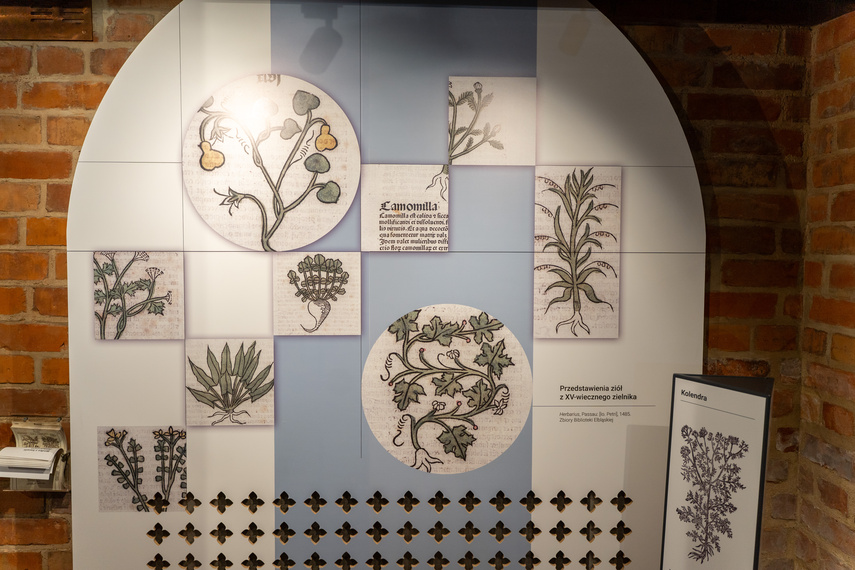 Elkamera przybliża historię Elbląga i miejskiego księgozbioru zdjęcie nr 292567