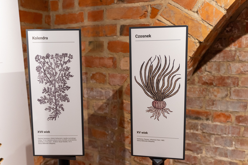 Elkamera przybliża historię Elbląga i miejskiego księgozbioru zdjęcie nr 292568