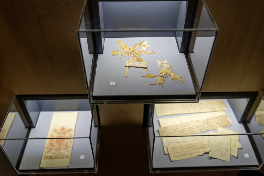 Elkamera przybliża historię Elbląga i miejskiego księgozbioru zdjęcie nr 292586