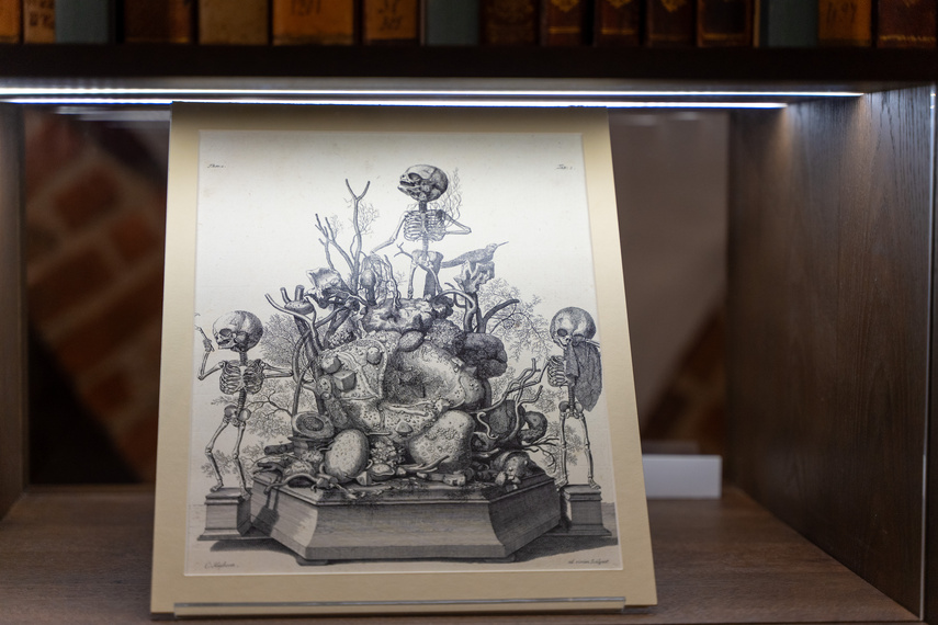 Elkamera przybliża historię Elbląga i miejskiego księgozbioru zdjęcie nr 292595