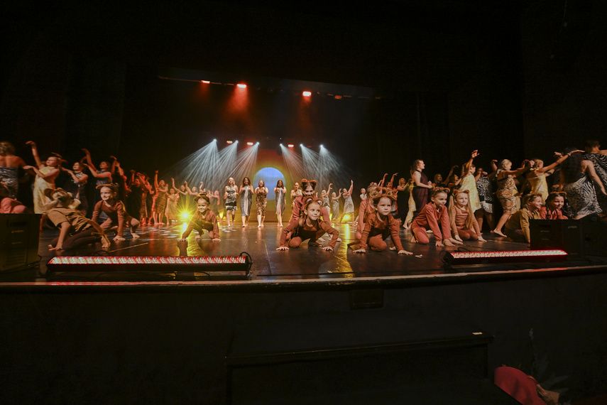 Szalone Małolaty. Takiego koncertu w Elblągu jeszcze nie było! zdjęcie nr 293185