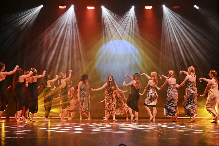 Szalone Małolaty. Takiego koncertu w Elblągu jeszcze nie było! zdjęcie nr 293184