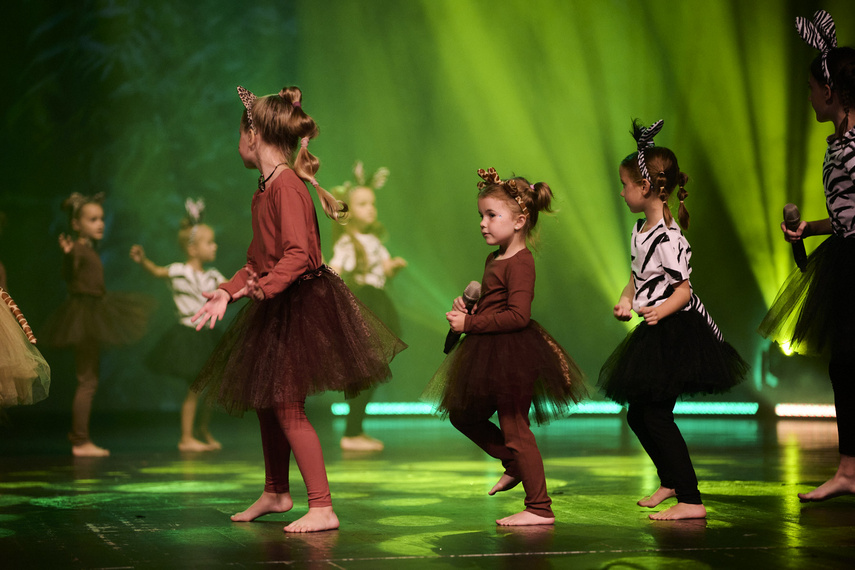 Szalone Małolaty. Takiego koncertu w Elblągu jeszcze nie było! zdjęcie nr 293212