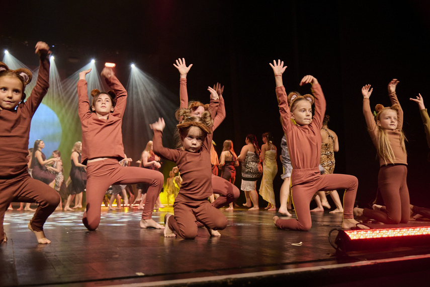 Szalone Małolaty. Takiego koncertu w Elblągu jeszcze nie było! zdjęcie nr 293186