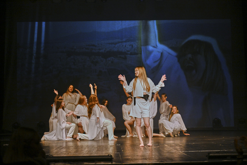 Szalone Małolaty. Takiego koncertu w Elblągu jeszcze nie było! zdjęcie nr 293188