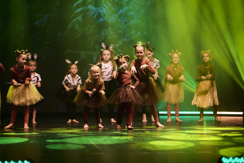 Szalone Małolaty. Takiego koncertu w Elblągu jeszcze nie było! zdjęcie nr 293210