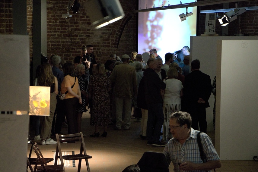 7 z 65 i róże dla Róży zdjęcie nr 293420