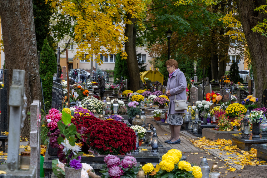 "Zapalić znicze, pomodlić się, spotkać się z rodziną" zdjęcie nr 295665