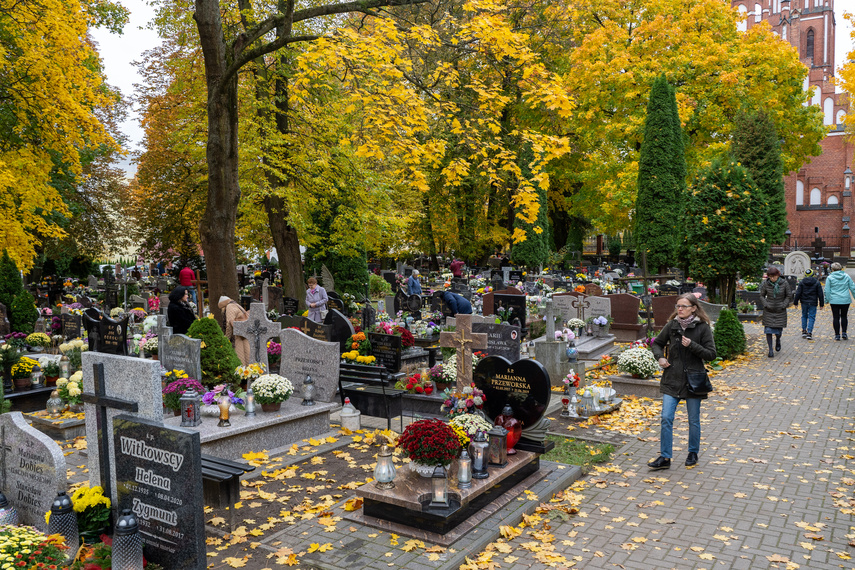 "Zapalić znicze, pomodlić się, spotkać się z rodziną" zdjęcie nr 295664