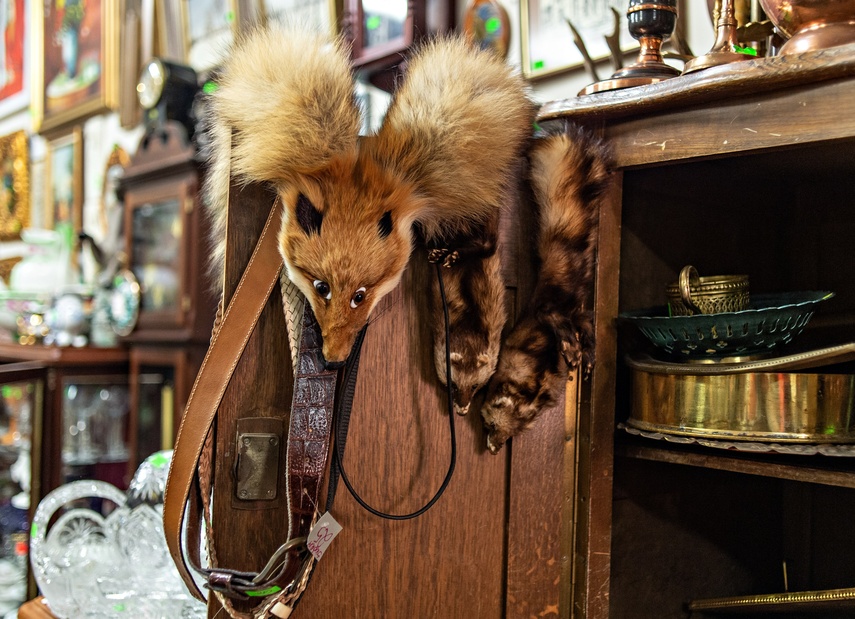 Większa powierzchnia, bogatszy asortyment. Odwiedź Galerię Starocie zdjęcie nr 295761