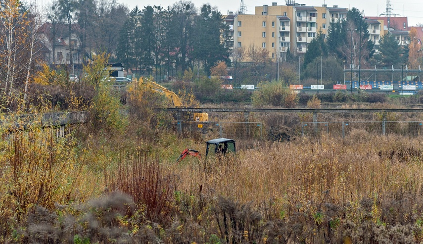 Pierwsze prace na budowie kąpieliska zdjęcie nr 296304