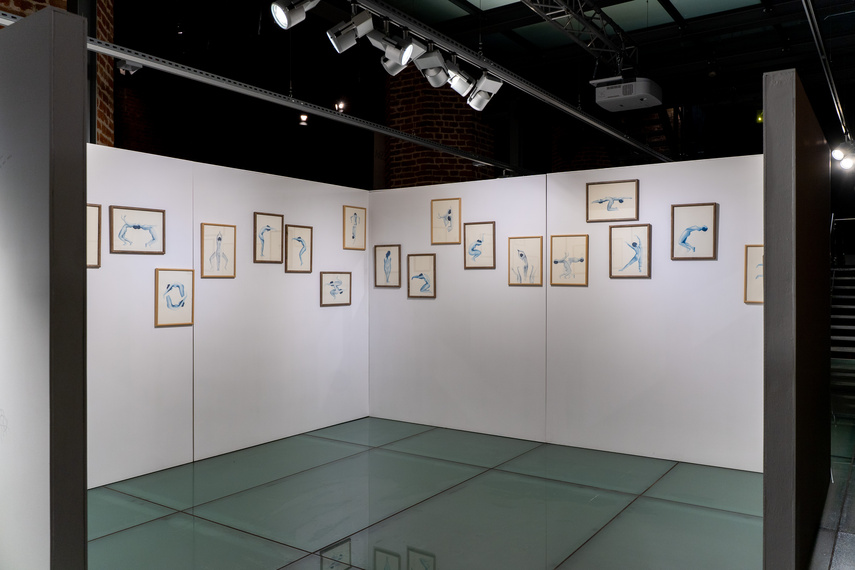 Suche oczy w Galerii El zdjęcie nr 296959