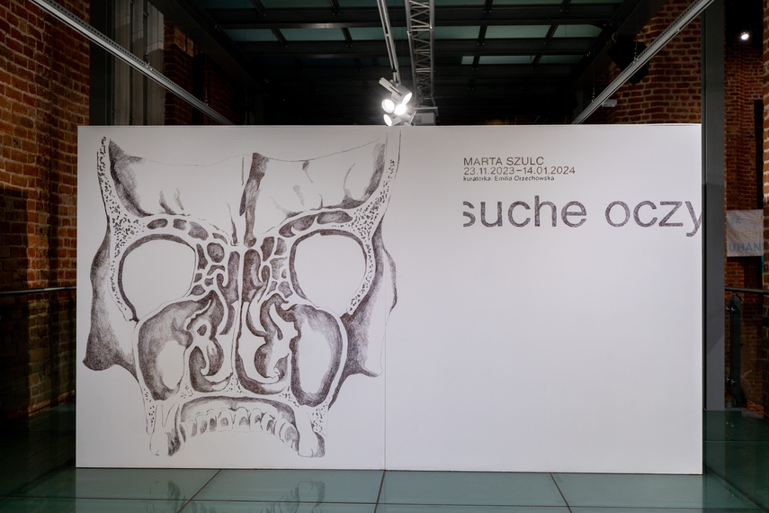 Suche oczy w Galerii El zdjęcie nr 296958