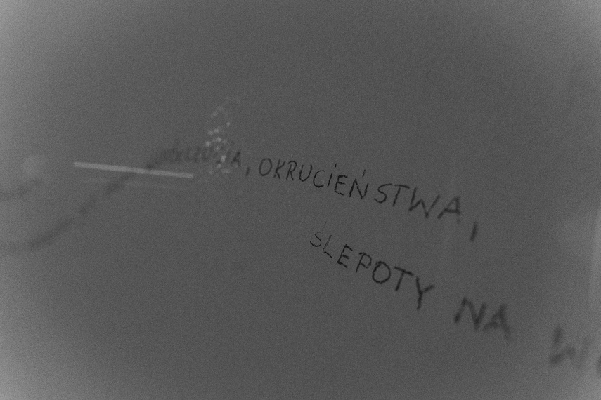 Suche oczy w Galerii El zdjęcie nr 296993