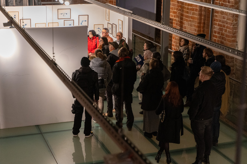 Suche oczy w Galerii El zdjęcie nr 296992