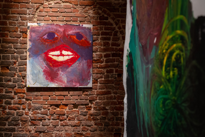 Projekcje Olgi Dmowskiej zdjęcie nr 297308