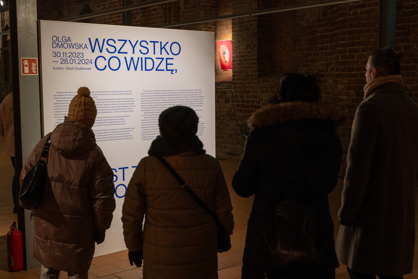 Projekcje Olgi Dmowskiej zdjęcie nr 297305