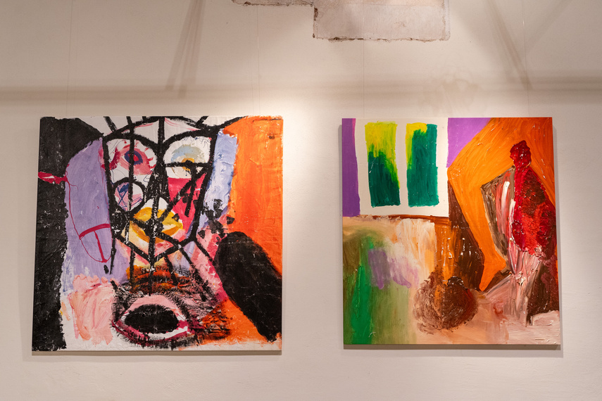 Projekcje Olgi Dmowskiej zdjęcie nr 297316