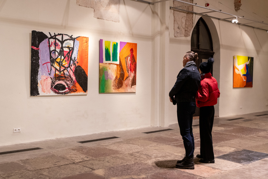 Projekcje Olgi Dmowskiej zdjęcie nr 297323